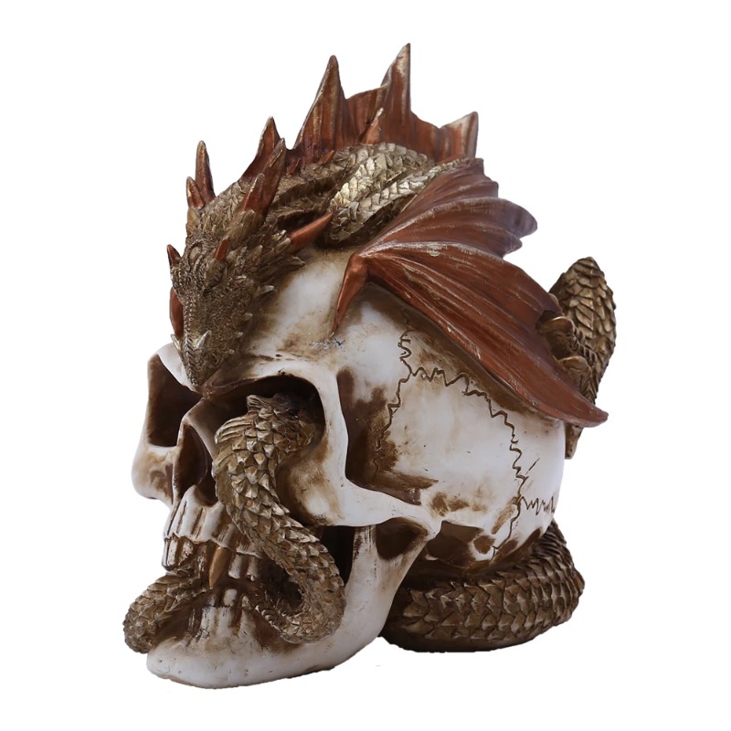 Skull Dragon Resin Figurine -  - Art Craft Bar incelemesi ve fiyatı