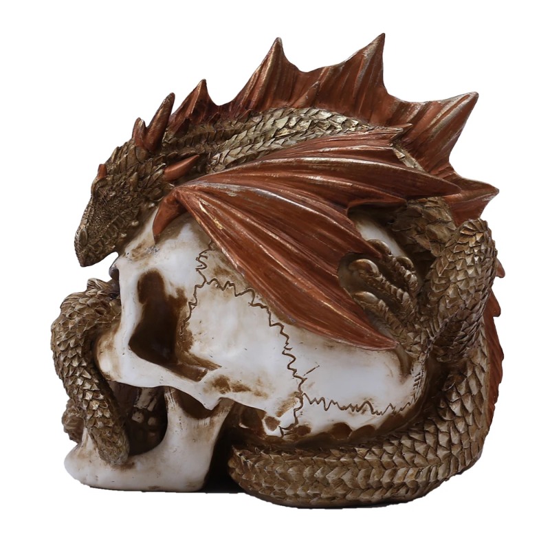 Skull Dragon Resin Figurine -  - Art Craft Bar incelemesi ve fiyatı