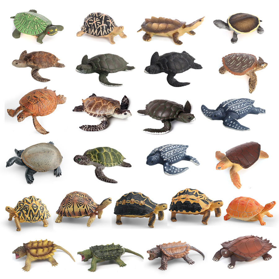 Simulation Chinese Softshell L - Chinese Art Craft incelemesi ve fiyatı